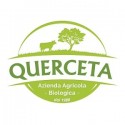 Querceta