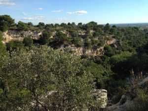 mottola nature is a set