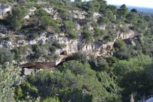 mottola nature is a set