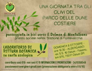 una giornata tra gli olivi del parco delle dune costiere copertina-min