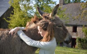 I NUOVI REGALI ADOZIONE ONLINE DI VIGNE, ULIVI E ANIMALI - NEW GIFTS ONLINE ADOPTION OF VINEYARDS, OLIVE TREES AND ANIMALS