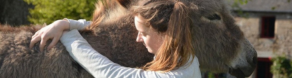 I NUOVI REGALI ADOZIONE ONLINE DI VIGNE, ULIVI E ANIMALI - NEW GIFTS ONLINE ADOPTION OF VINEYARDS, OLIVE TREES AND ANIMALS
