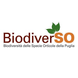 biodiverso bio diverso puglia